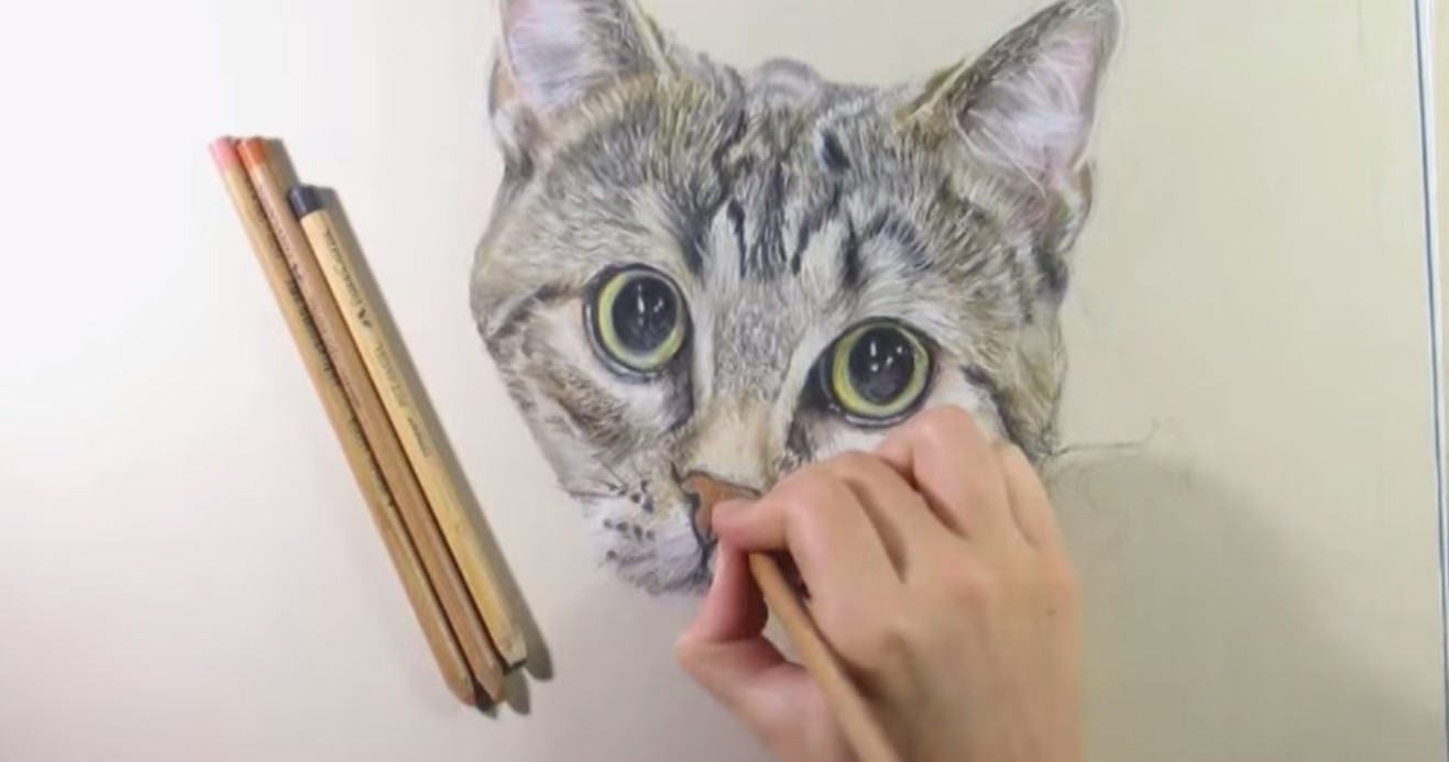 Disegnare Un Gatto Archivi Stile Arte